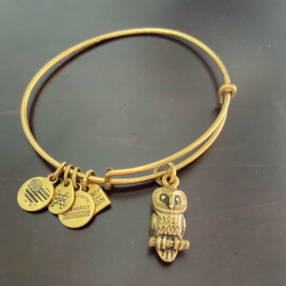 ALEX AND ANI | Owl Bracelet